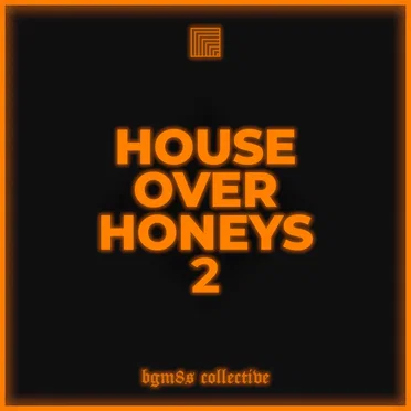 House Over Honeys 2 by Various Artists - album cover