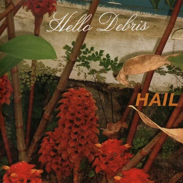 Hello Debris by Hail - album cover