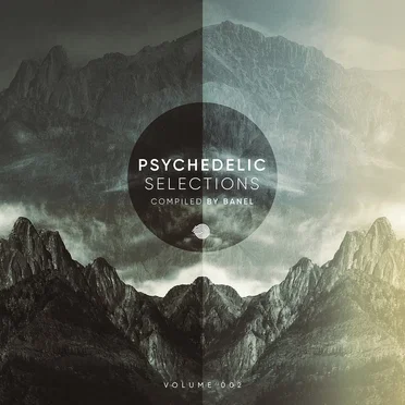 Psychedelic Selections, Vol. 02 by Various Artists - album cover