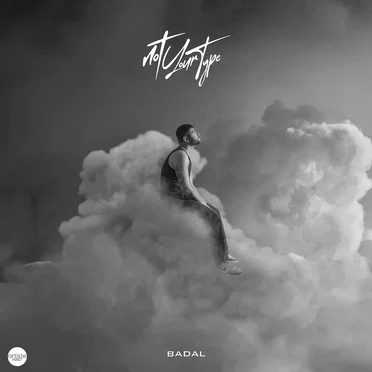 Not Your Type by Badal - album cover