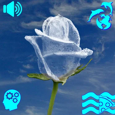 ▩ ヨフォシ– •WINZIP ▩