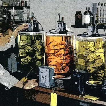 Alpha Lemur Echo Two