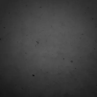 透明になりたい