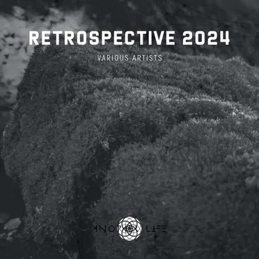 Retrospective 2024 by Various Artists - album cover