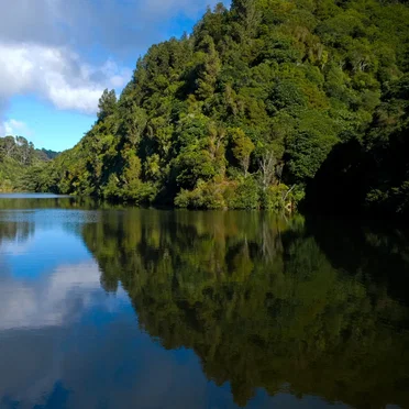 Zealandia Dawn Chorus